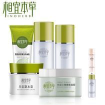 大连神庙丝蒂其化妆品批发代理招商 精细化学品领域的优质选择